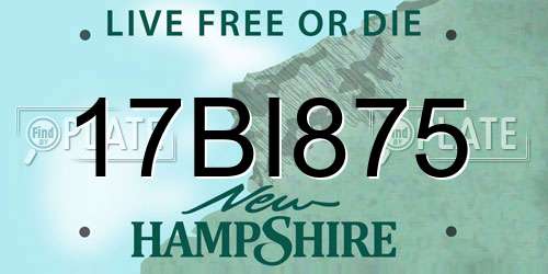17BI875 New Hampshire License Plate