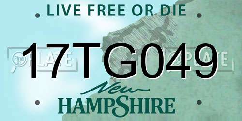 17TG049 New Hampshire License Plate