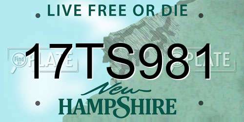 17TS981 New Hampshire License Plate