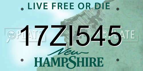 17ZI545 New Hampshire License Plate