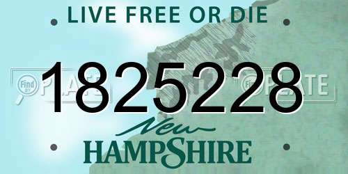 1825228 New Hampshire License Plate