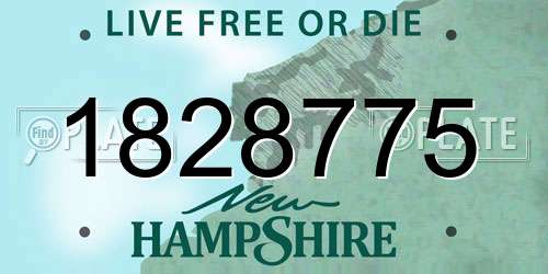 1828775 New Hampshire License Plate