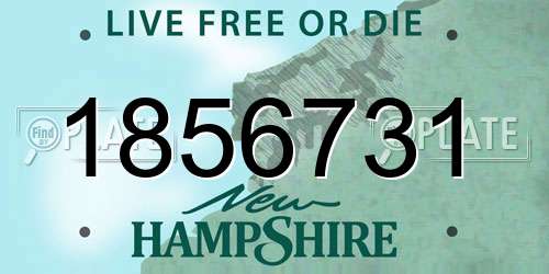 1856731 New Hampshire License Plate