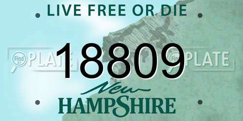 18809 New Hampshire License Plate