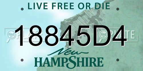18845D4 New Hampshire License Plate