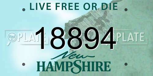 18894 New Hampshire License Plate