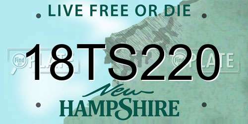 18TS220 New Hampshire License Plate