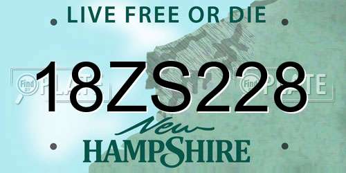 18ZS228 New Hampshire License Plate