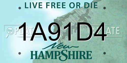 1A91D4 New Hampshire License Plate