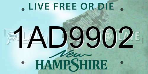 1AD9902 New Hampshire License Plate