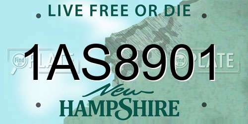 1AS8901 New Hampshire License Plate
