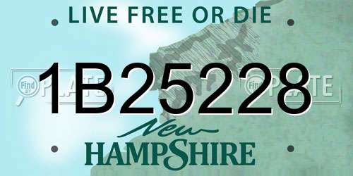 1B25228 New Hampshire License Plate