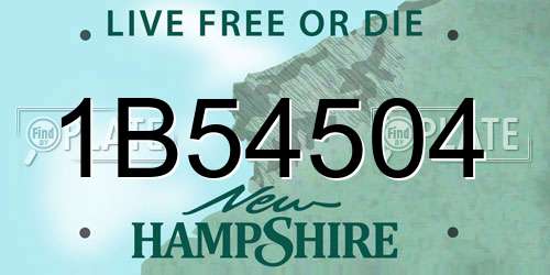 1B54504 New Hampshire License Plate