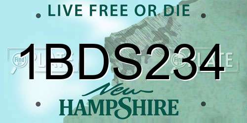 1BDS234 New Hampshire License Plate