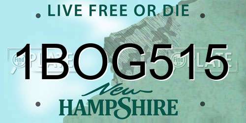 1BOG515 New Hampshire License Plate