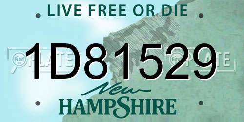1D81529 New Hampshire License Plate