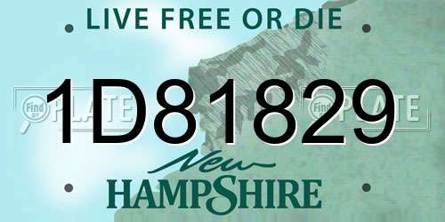 1D81829 New Hampshire License Plate