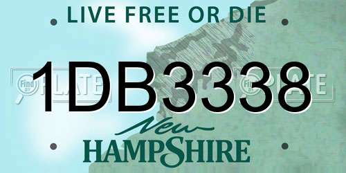 1DB3338 New Hampshire License Plate
