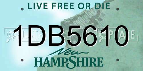 1DB5610 New Hampshire License Plate
