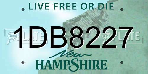 1DB8227 New Hampshire License Plate