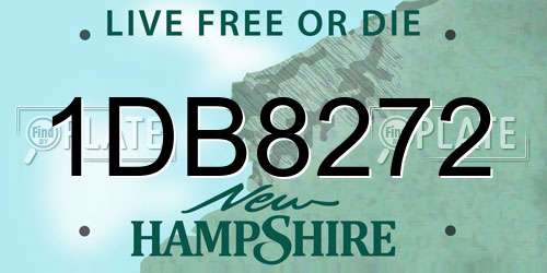 1DB8272 New Hampshire License Plate