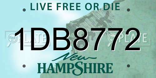 1DB8772 New Hampshire License Plate