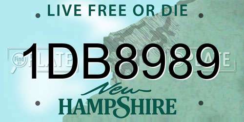 1DB8989 New Hampshire License Plate