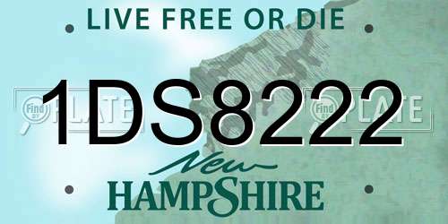1DS8222 New Hampshire License Plate