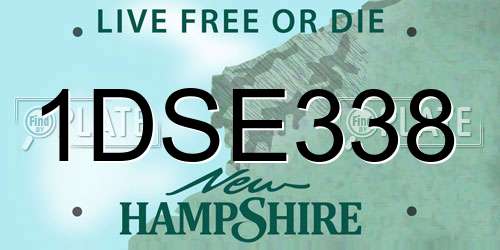 1DSE338 New Hampshire License Plate