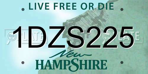 1DZS225 New Hampshire License Plate