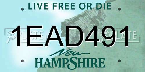 1EAD491 New Hampshire License Plate
