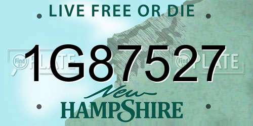 1G87527 New Hampshire License Plate