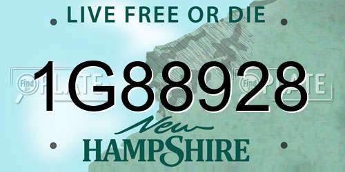 1G88928 New Hampshire License Plate