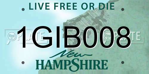 1GIB008 New Hampshire License Plate
