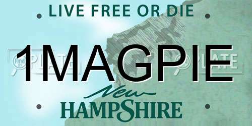1MAGPIE New Hampshire License Plate