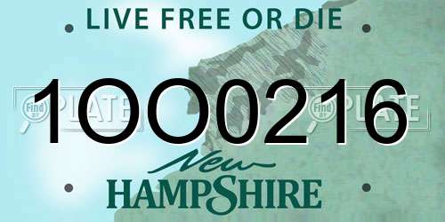 1OO0216 New Hampshire License Plate