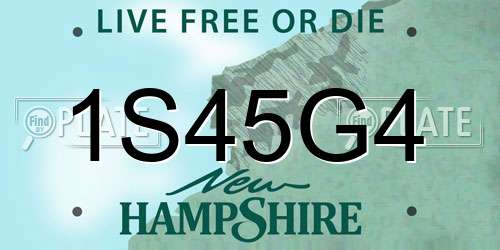 1S45G4 New Hampshire License Plate