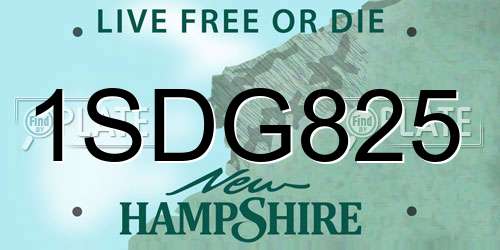 1SDG825 New Hampshire License Plate