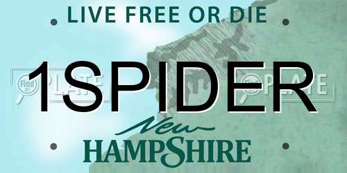 1SPIDER New Hampshire License Plate