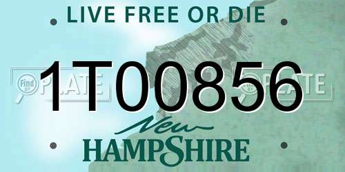 1T00856 New Hampshire License Plate