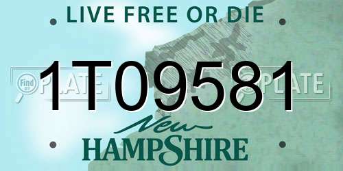 1T09581 New Hampshire License Plate