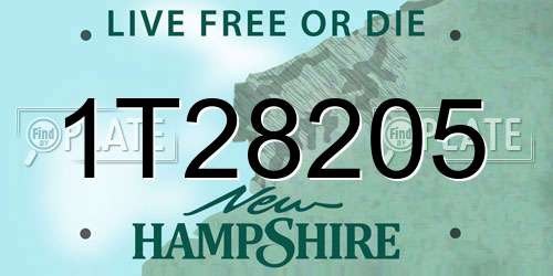 1T28205 New Hampshire License Plate
