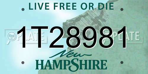 1T28981 New Hampshire License Plate