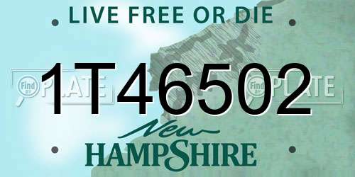 1T46502 New Hampshire License Plate