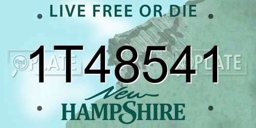 1T48541 New Hampshire License Plate