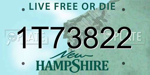 1T73822 New Hampshire License Plate