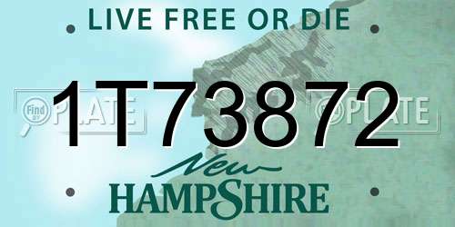 1T73872 New Hampshire License Plate