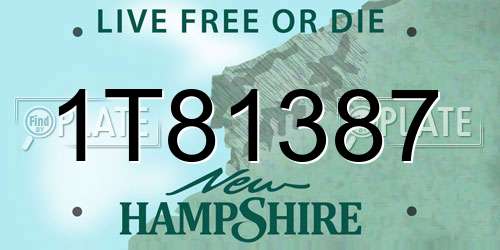 1T81387 New Hampshire License Plate