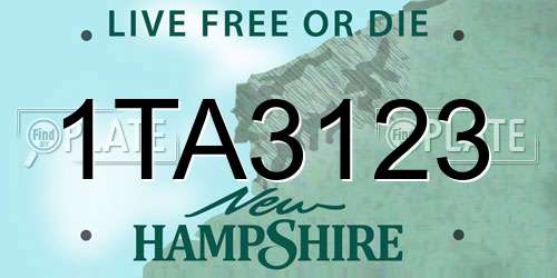 1TA3123 New Hampshire License Plate