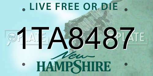 1TA8487 New Hampshire License Plate